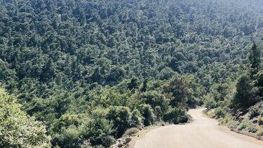 Ήταν άτυχοι οι ζωοκλέφτες: Τόσα χιλιόμετρα περπάτημα κι έπεσαν πάνω σε περιπολία του ΤΑΕ Λασιθίου