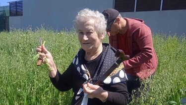 Η 85χρονη Γραμματική Παπαδάκη και τα «μυστικά» των άγριων χόρτων της Κρήτης!