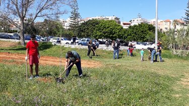 Δεκάδες νέα δέντρα στους Αγίους Αποστόλους και τη Χρυσή Ακτή