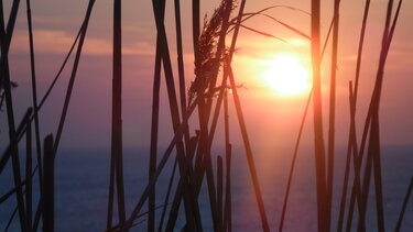 Μπανγκλαντές: Άνοιξαν και πάλι τα σχολεία εν μέσω σφοδρού καύσωνα