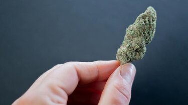 Χανιά: Είχε στο σπίτι ναρκωτικά κι όπλο, αλλά τα βρήκαν 