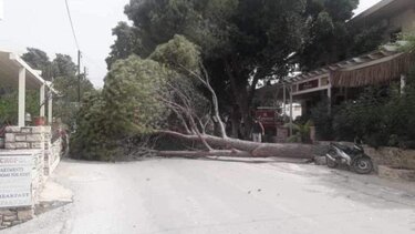 Στη μανία του νοτιά: Τραυματισμός λιμενεργάτη στη Σούδα, πτώση δέντρου στη Μεσαρά