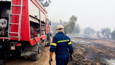 Πυροσβεστική: 41 πυρκαγιές εκδηλώθηκαν το τελευταίο 24ωρο - Συνελήφθη ένας άνδρας στην Αιτωλοακαρνανία