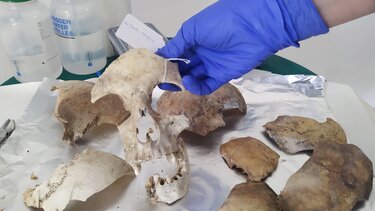 Ομαδικός τάφος στο Άδελε: Για πρώτη φορά, οι συγγενείς θα αναγνωρίσουν τους νεκρούς τους!