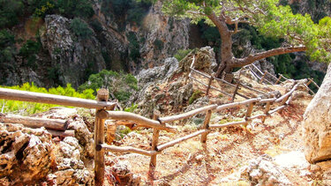 Νέα εξόρμηση για τον Φυσιολατρικό Σύλλογο Ηρακλείου