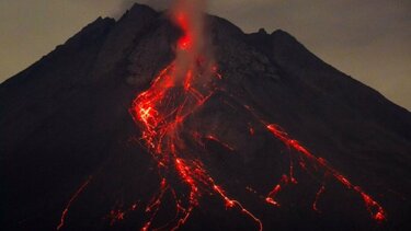 Μπορούν τα δέντρα να προβλέψουν τις ηφαιστειακές εκρήξεις;