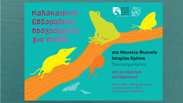 Καλοκαιρινά προγράμματα για παιδιά στο Μουσείο Φυσικής Ιστορίας