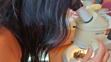 Ένας θησαυρός αποκαλύπτεται: Οι συλλογές του Μουσείου Φυσικής Ιστορίας εντυπωσιάζουν το κοινό!