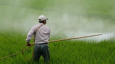 Οι επιπτώσεις στην υγεία και το περιβάλλον από τη χρόνια έκθεση σε φυτοφάρμακα