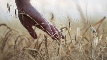 Ενημερωτική ημερίδα για την παραγωγικότητα και βιωσιμότητα της ελληνικής γεωργίας