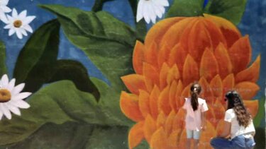 Ένας τοίχος ... ολάνθιστος!