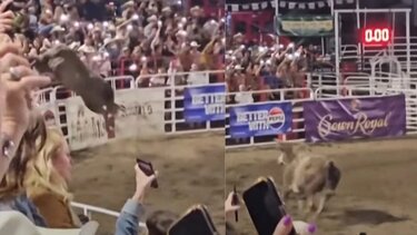 Τρομακτικό βίντεο: Ταύρος το έσκασε από την αρένα και επιτέθηκε στους θεατές