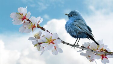 Αποκαλύπτουν τα μυστικά για τον καιρό και το κλίμα