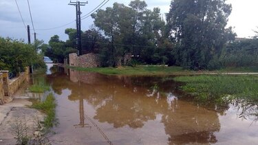 Επίσκεψη Τσιάρα στον ΕΛΓΑ: Μέσα στο επόμενο διάστημα οι αποζημιώσεις για τον «Ντάνιελ»