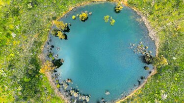Δάσος του Ρούβα: μία εμπειρία από μόνο του!