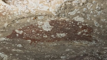 Η παλαιότερη σπηλαιογραφία στον κόσμο βρέθηκε στην Ινδονησία 