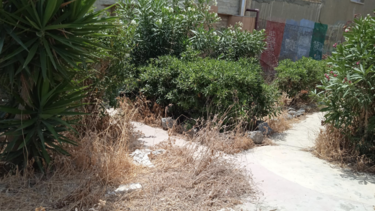 "Ακούμε για αναβαθμίσεις της περιοχής αλλά υποφέρουμε από τις ακαθαρσίες"