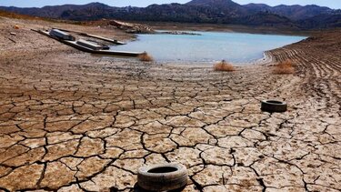 Κλιματική αλλαγή: Η βόρεια Ευρώπη πλήττεται από πρωτοφανή ξηρασία