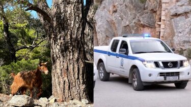 «Πόλεμος» στα ορεινά: «κάντε κάτι πριν χυθεί αίμα»