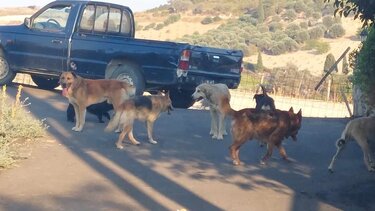 «Ηράκλειο δεν είναι μόνο η πόλη εντός των Τειχών»