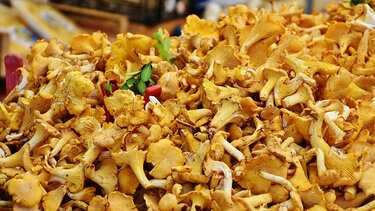 Τάρτα μανιταριών με σφολιάτα