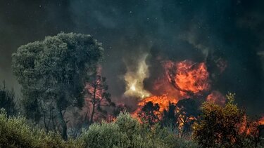 Υπό έλεγχο η φωτιά στην Κερατέα
