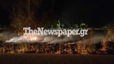 Φωτιά στο δάσος Κουρί – Ολονύχτια μάχη των πυροσβεστών