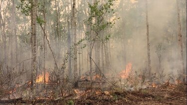 Ο Καναδάς 4ος παγκοσμίως ως προς τις εκπομπές CO2 το 2023