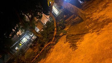 Ηράκλειο: Έπεσε μεγάλο κλαδί δέντρου μέσα σε πάρκο - Βίντεο και φωτογραφίες