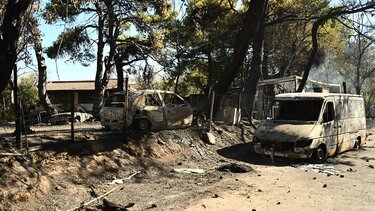 Στάχτες και αποκαΐδια: Αυτοψία στις καμένες εκτάσεις της Πεντέλης