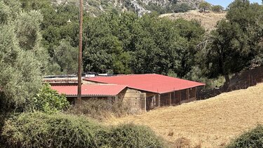 Μαρτύρησε ο 69χρονος κτηνοτρόφος! Πώς του έκοψε ο δράστης τη γλώσσα!