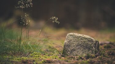 Είχαν μέρες να τον δουν, τελικά βρέθηκε νεκρός