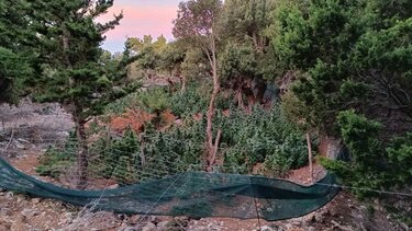 Τι γύρευαν Οργανωμένο, Δίωξη Ναρκωτικών και ΕΚΑΜ στις Καμάρες;