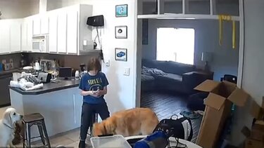 Σοκαριστικό βίντεο: Έφηβη σκότωσε τη μητέρα της και μετά έπαιζε με το κινητό της