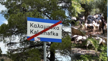 Κατεβαίνουν με πούλμαν στα δικαστήρια και προειδοποιούν: «θα πέσουν κορμιά» - Δείτε βίντεο 