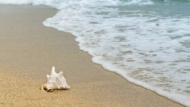 Μεγάλη εθελοντική πρωτοβουλία καθαρισμού στις ακτές των Χανίων