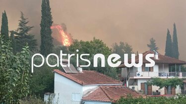 Φωτιά στην Ηλεία - Ήχησε το 112