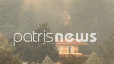 Πύρινη κόλαση στο Γεράκι Αμαλιάδας - Mία ανάσα από σπίτια οι φλόγες