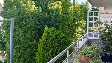 Συστάσεις για τη διαχείριση των δέντρων στη διάρκεια της ξηρασίας στις πόλεις