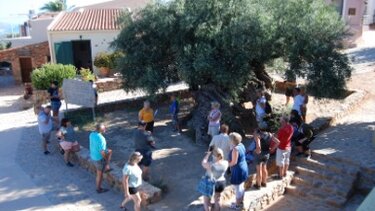 Ελαιοτουρισμός μια νέα εναλλακτική μορφή τουρισμού στην Κρήτη
