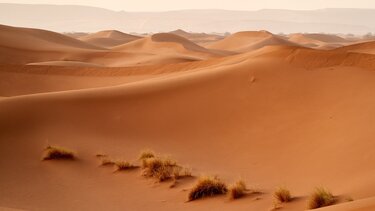 Κλιματική αλλαγή: Άρχισε να "πρασινίζει" η έρημος Σαχάρα!