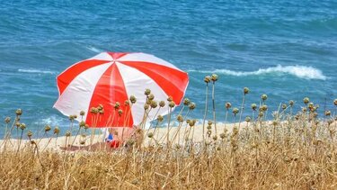 Καιρός: Στους 42 βαθμούς η θερμοκρασία την Παρασκευή - Η πρόγνωση των επόμενων ημερών