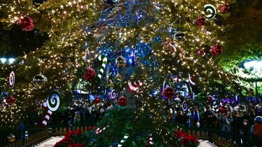 Ο Δήμος Φαιστού φωταγωγεί το Χριστουγεννιάτικο δέντρο του, στις Μοίρες