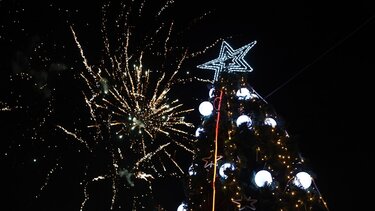 Φωταγώγηση-Δέντρο