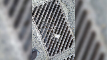 ακαθάριστο φρεάτιο στο Γιόφυρο