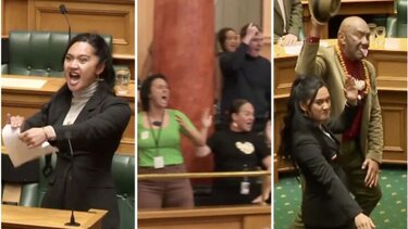 Μαορί βουλευτές