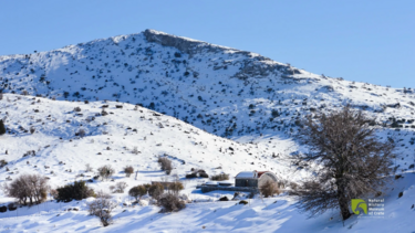 oropedio livadi kroysonas