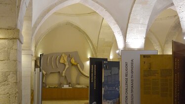 palaiontologiko moyseio rethymnoy