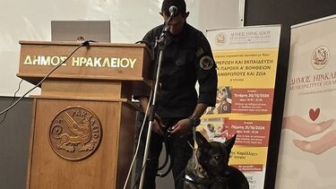 Δήμος Ηρακλείου, Ζώα, Σεμινάριο