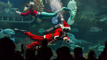 Ενυδρείο Κρήτης